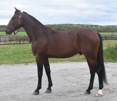 Alittlebitlater 171005-5